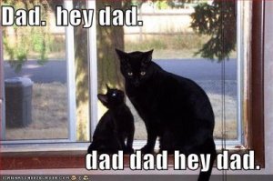 Hey Dad!